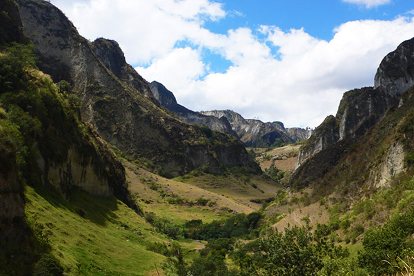 toachi canyon greenary