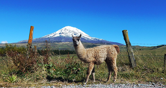 chimborazo-riobamba