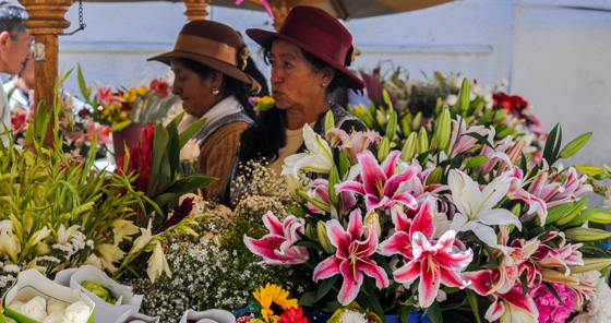 Lilies at Flower Market in Cuenca, Ecuador