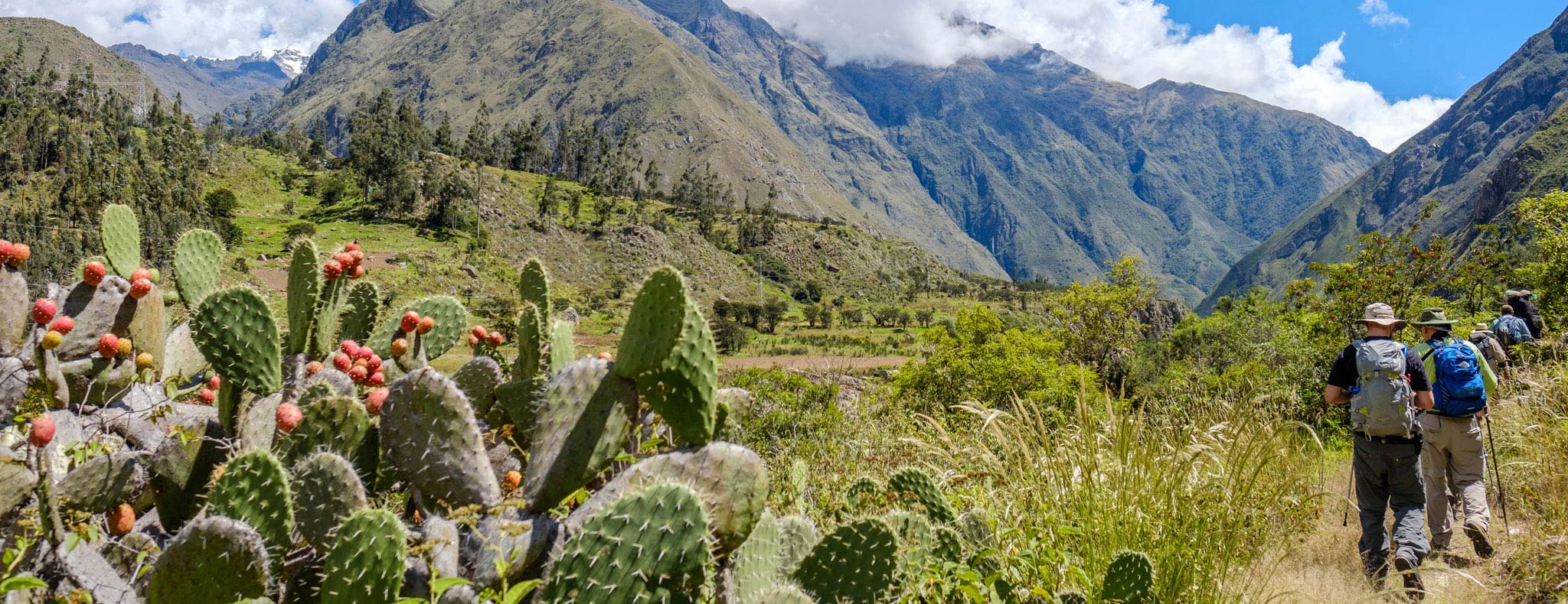 backpackers trekking Inca Trail in Alausí, Ecuador