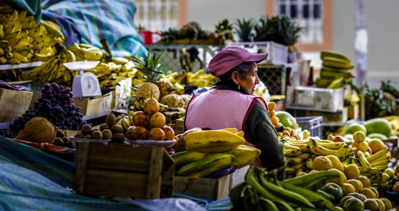 Woman in pink cap selling fruits at la Merced market in Riobamba, Ecuador