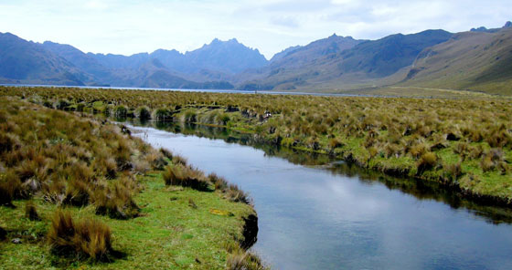  The Lagoon of Ozogoche in Alausí, Ecuador