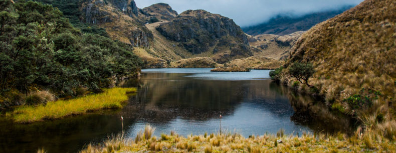 cajas national park