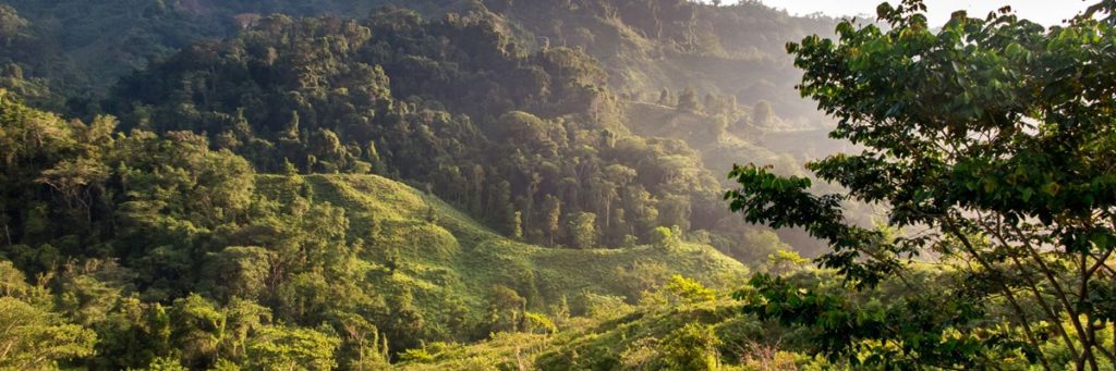 cidade perdida colombia hop