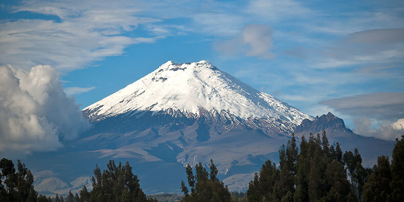 Cotopaxi covid-19